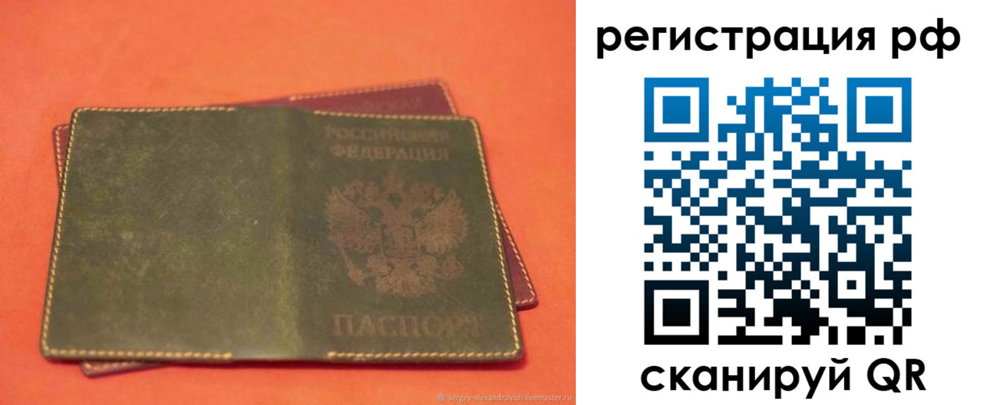 прописка 2025 в Брянской области